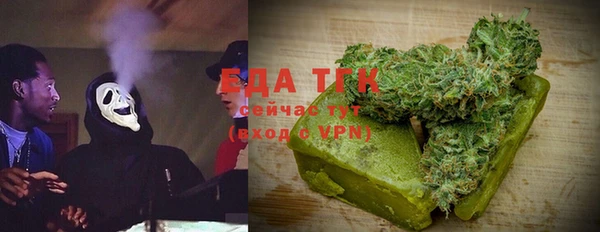 индика Бородино