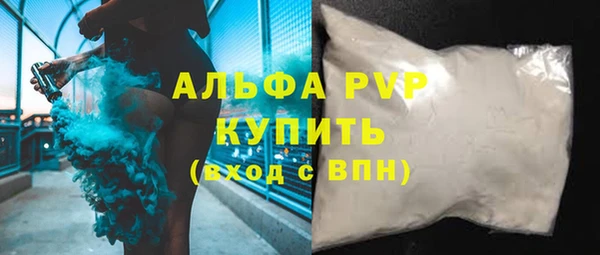 индика Бородино