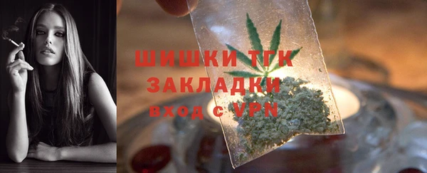 индика Бородино