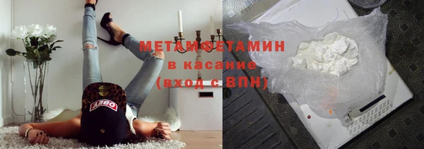 индика Бородино