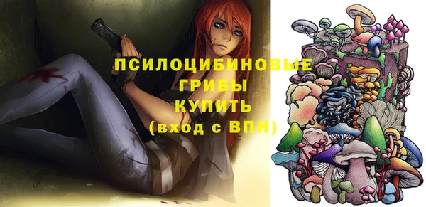 индика Бородино
