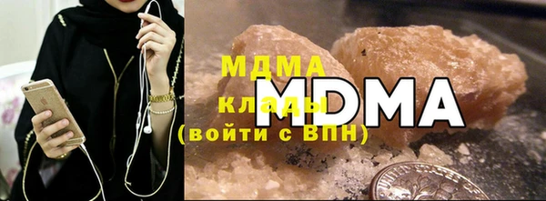 индика Бородино