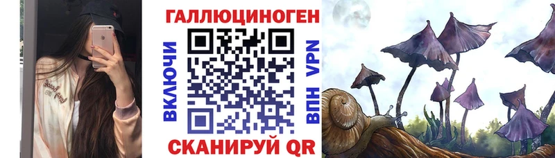 где купить наркоту  Ялта  Галлюциногенные грибы мицелий 